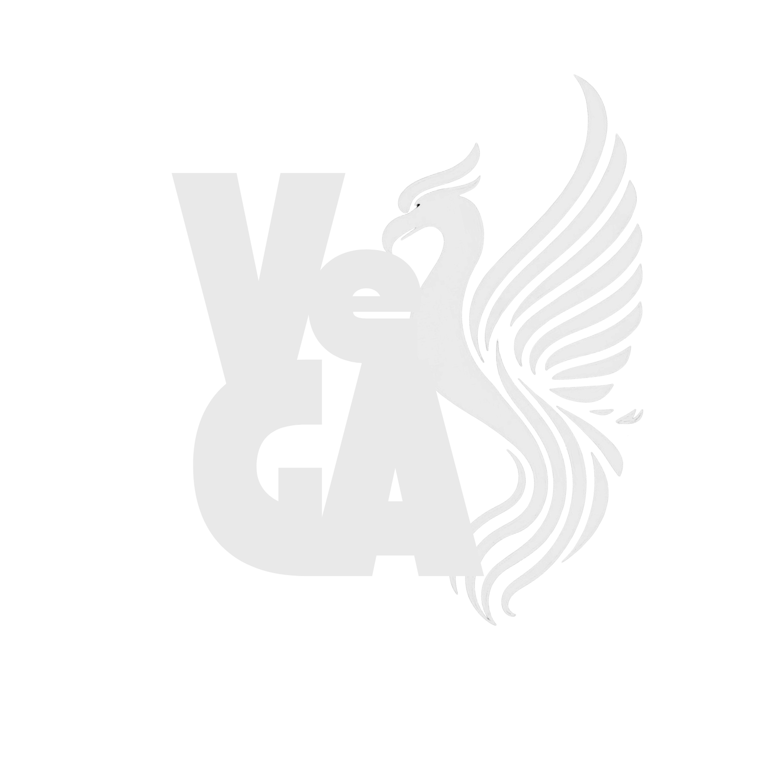 Veiga Studios